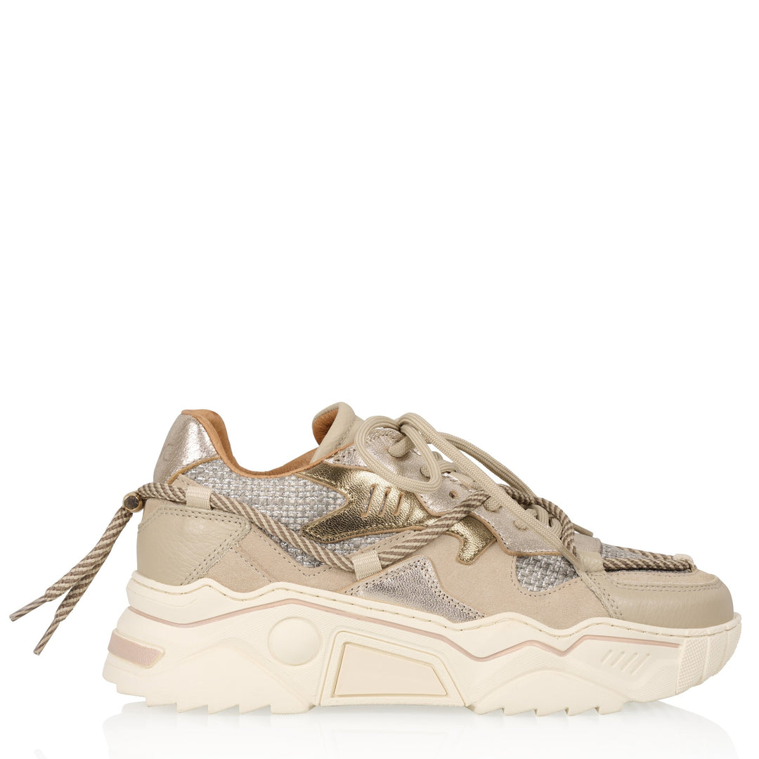 DWRS The label DWRS Turnschuhe JUPITER Taupe Stone